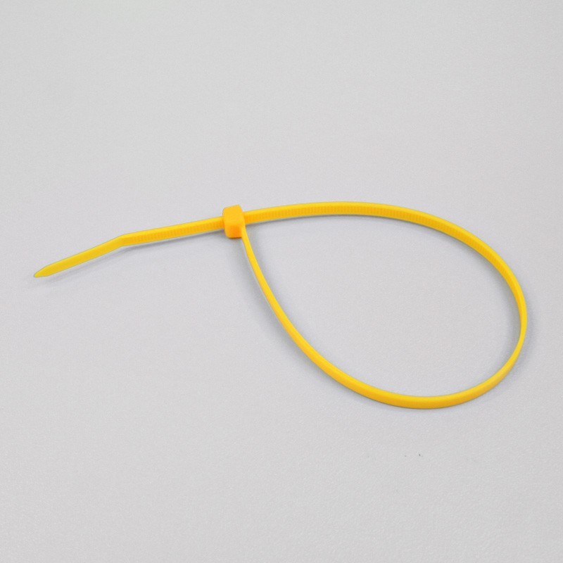 Petit lien de serrage plastique translucide - 2.5 x 100 mm (x 100)