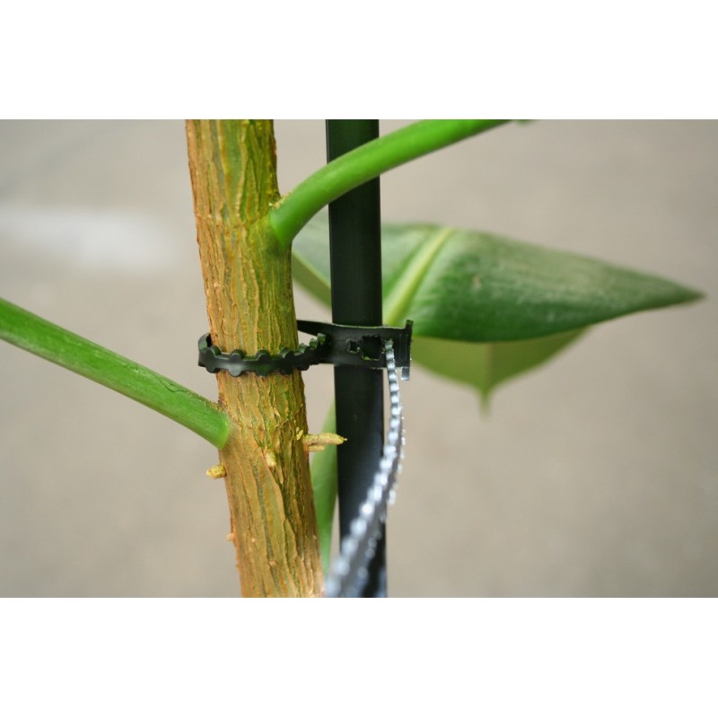 Soft plastic tie: UV resistant - Etigo