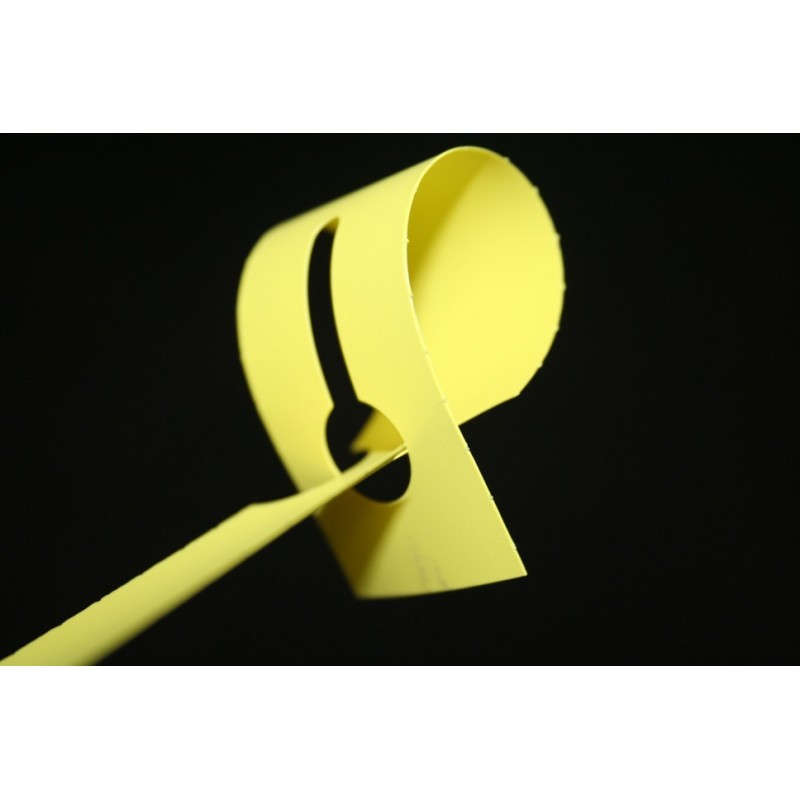 Etiquettes à boucles PVC - Identification et Sécurité