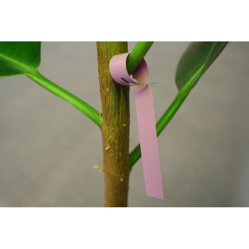 Tyvek loop labels - Etigo