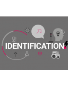 Identification articles