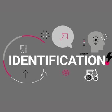 Articulos de identification