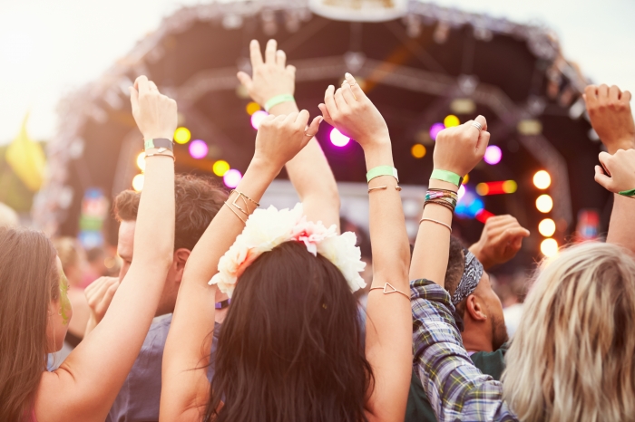 Festival Bracelet: The must-have for your events