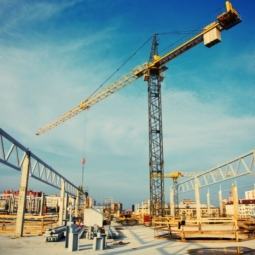 What do you need to know about the ears stainless steel clips ?